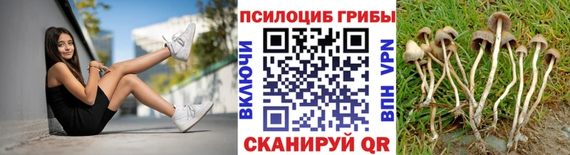 продажа наркотиков  Кущёвская  Псилоцибиновые грибы ЛСД 